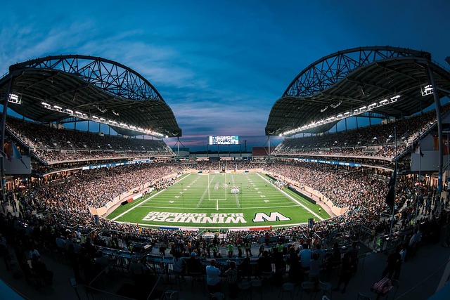 的规则进行 的规则进行