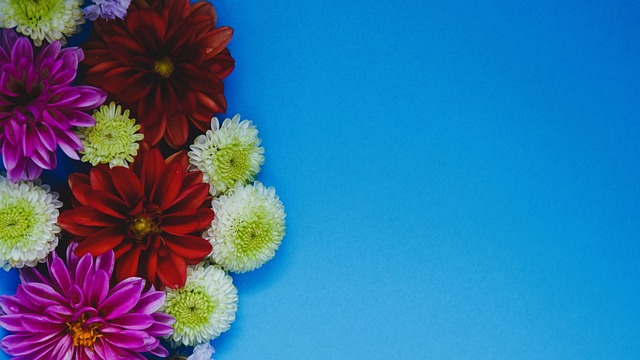 她不仅仅是 她不仅仅是