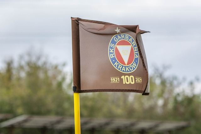 队重塑策略 队重塑策略