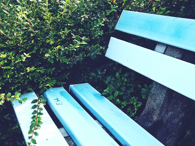 都承载着国 都承载着国