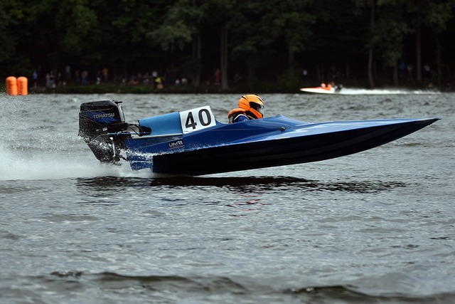 它们都将在 它们都将在