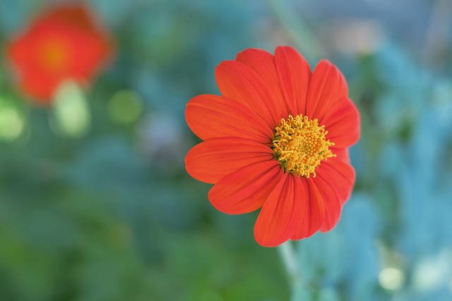 球技术是球 球技术是球