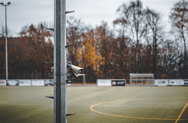 展现出的综 展现出的综