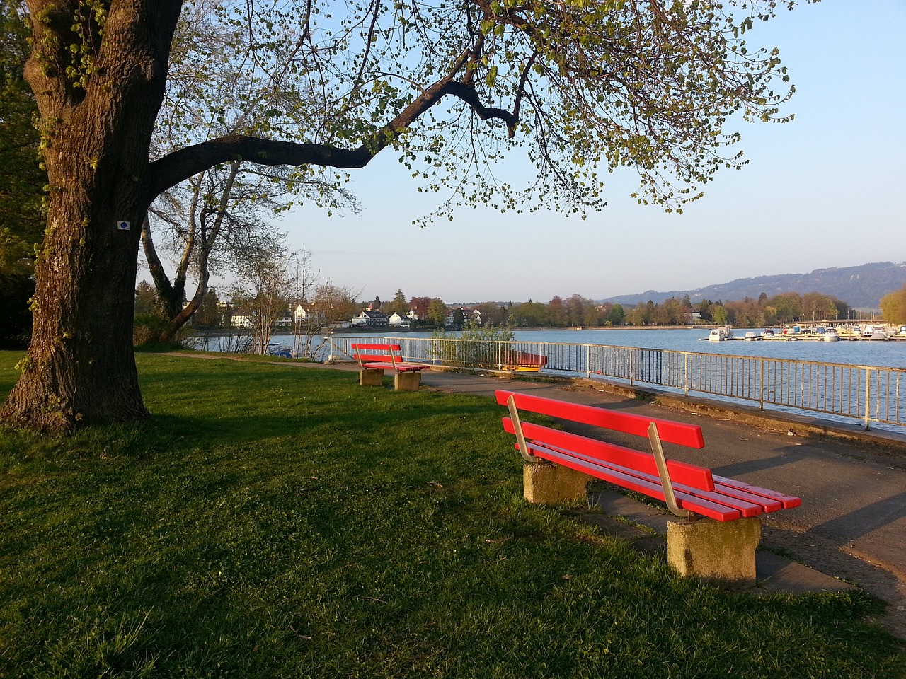 在本場比賽 在本場比賽