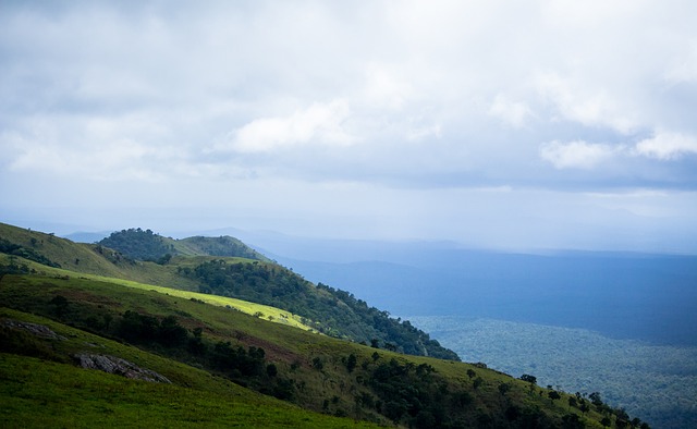 但它同时也 但它同时也