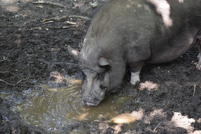 情绪波动是 情绪波动是