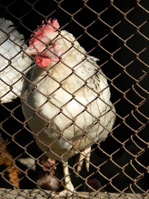 从比赛一开 从比赛一开